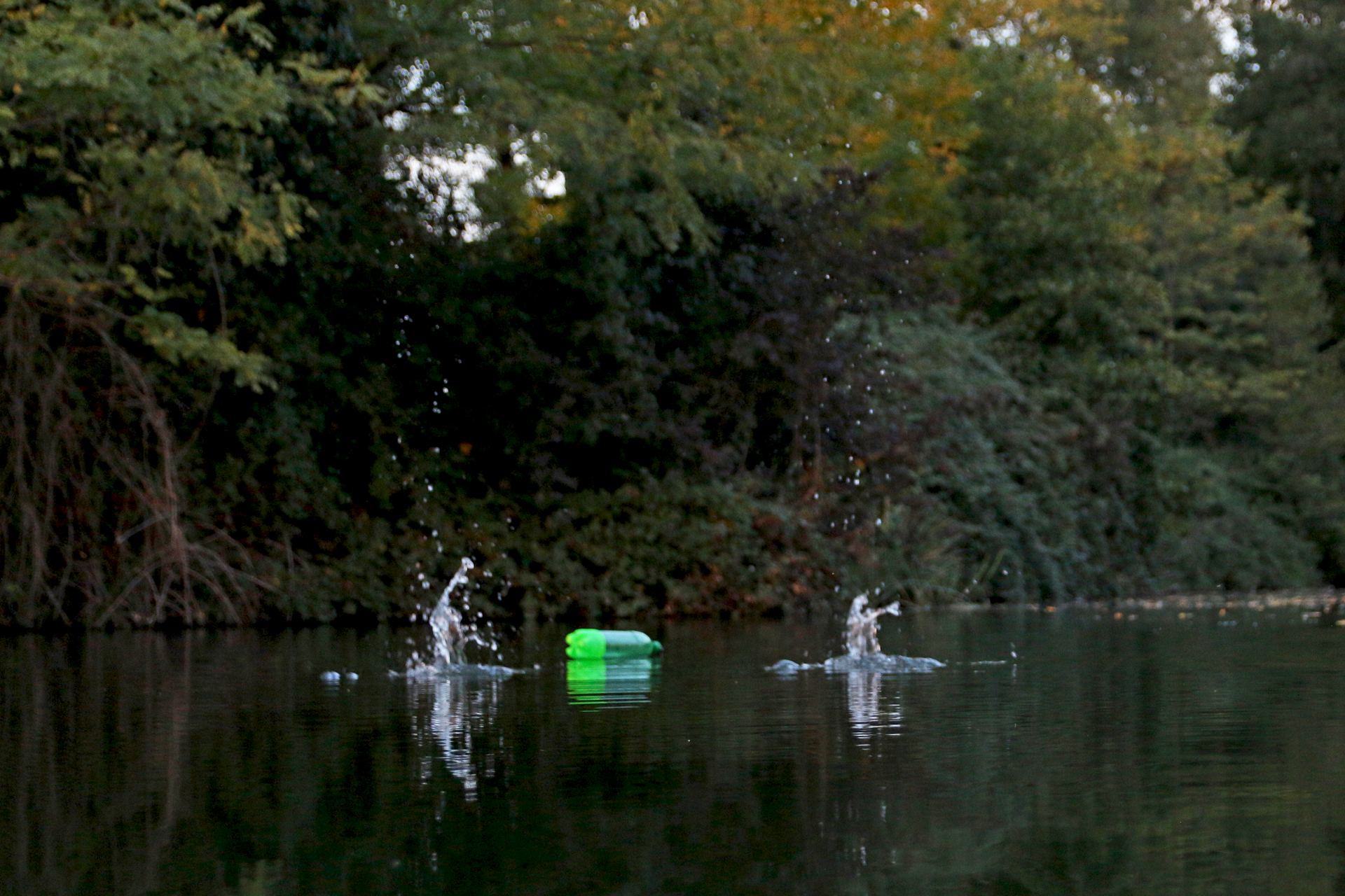 LOT-EXPERIENCE - Natuur, avontuur en een unieke ervaring vanuit de boot op de Franse rivier de Lot!